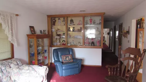600 Oak St, Delavan, IL 61734 photo 20