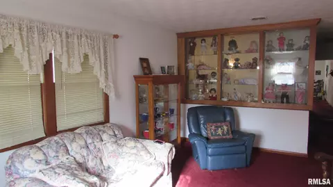 600 Oak St, Delavan, IL 61734 photo 21
