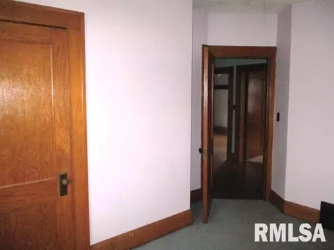 121 W 4th St, Delavan, IL 61734 photo 15
