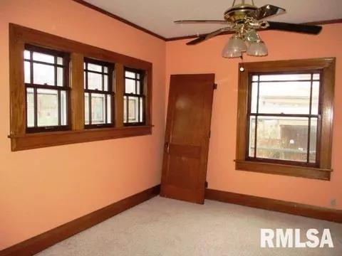 121 W 4th St, Delavan, IL 61734 photo 4