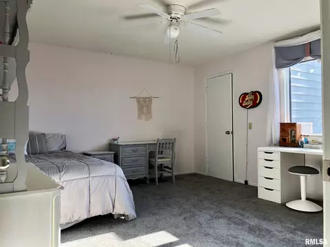 18 Richard Dr, Macomb, IL 61455 photo 27