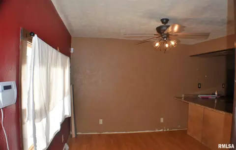 1053 E Myrtle St, Canton, IL 61520 photo 7