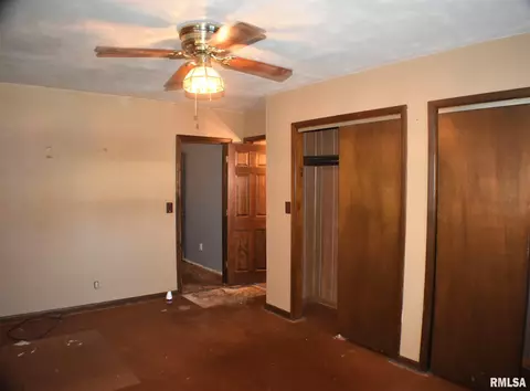 1053 E Myrtle St, Canton, IL 61520 photo 13