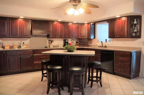 807 E 1st St, Delavan, IL 61734 photo 8