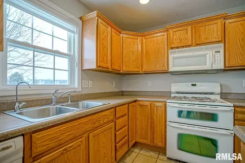1619 W Meadowview Dr, Dunlap, IL 61525 photo 13