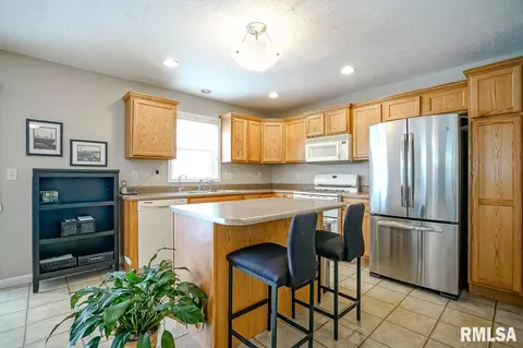 1619 W Meadowview Dr, Dunlap, IL 61525 photo 11