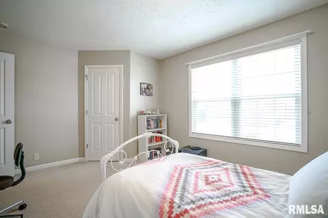 1619 W Meadowview Dr, Dunlap, IL 61525 photo 33