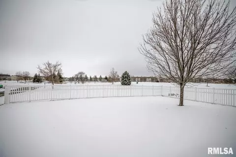 1619 W Meadowview Dr, Dunlap, IL 61525 photo 47