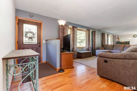606 W 5th St, Delavan, IL 61734 photo 4