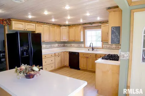 16207 E Cypress Rd, Canton, IL 61520 photo 10