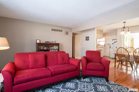 756 E Monroe St, Morton, IL 61550 photo 27