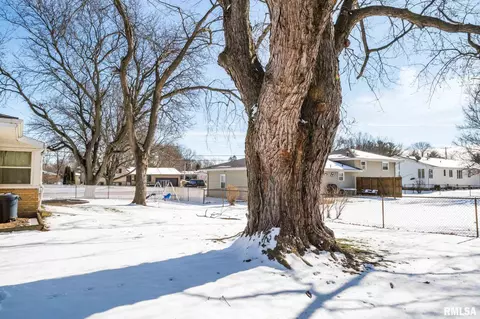 756 E Monroe St, Morton, IL 61550 photo 4