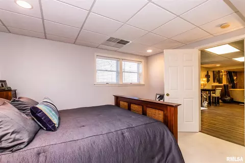 74 Diamond Pt, Morton, IL 61550 photo 41