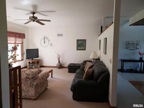 15926 N Centerville Rd, Edelstein, IL 61526 photo 9