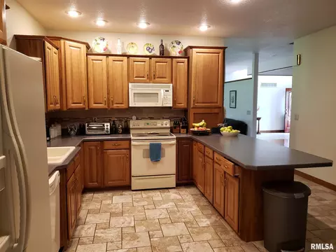15926 N Centerville Rd, Edelstein, IL 61526 photo 21