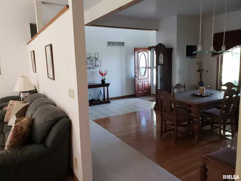 15926 N Centerville Rd, Edelstein, IL 61526 photo 10