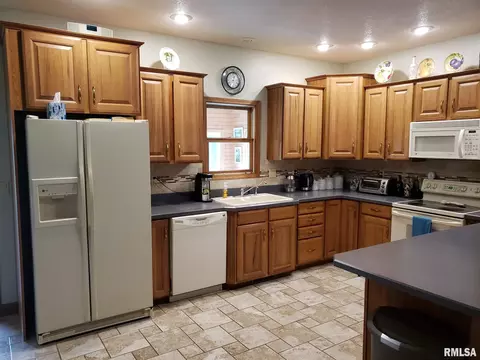 15926 N Centerville Rd, Edelstein, IL 61526 photo 22