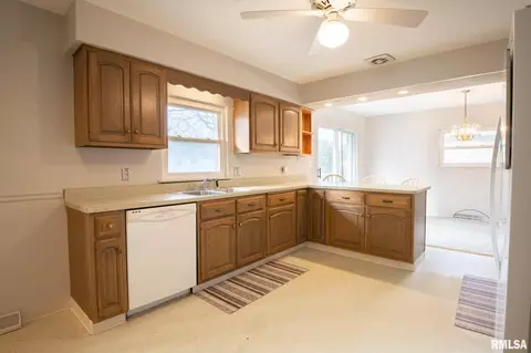 725 S Kickapoo Ln, Peoria, IL 61604 photo 19