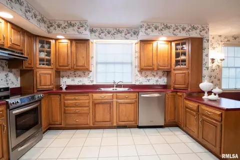 12613 N Cedar Bluff Dr, Dunlap, IL 61525 photo 16