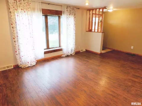 9521 W Guinivere Dr, Mapleton, IL 61547 photo 5
