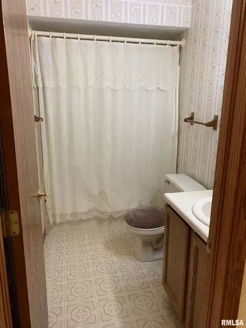 1115 E Sycamore St, Canton, IL 61520 photo 31