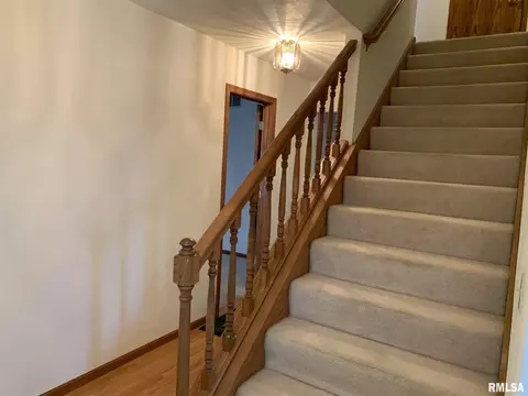 1115 E Sycamore St, Canton, IL 61520 photo 21