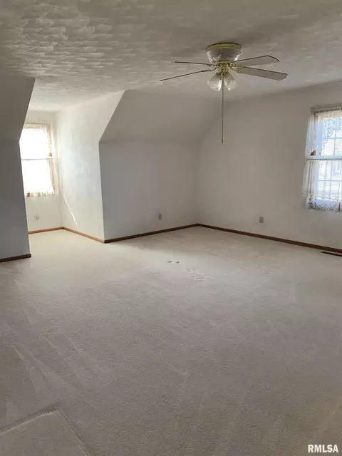 1115 E Sycamore St, Canton, IL 61520 photo 23