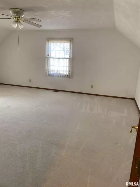 1115 E Sycamore St, Canton, IL 61520 photo 24