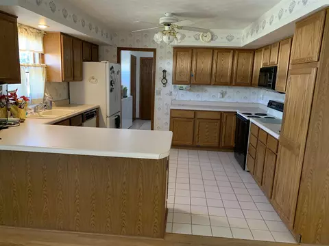 1115 E Sycamore St, Canton, IL 61520 photo 8