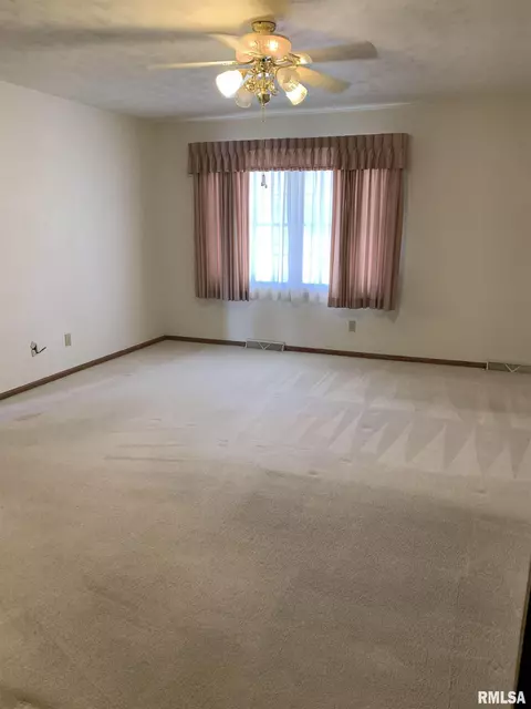 1115 E Sycamore St, Canton, IL 61520 photo 14
