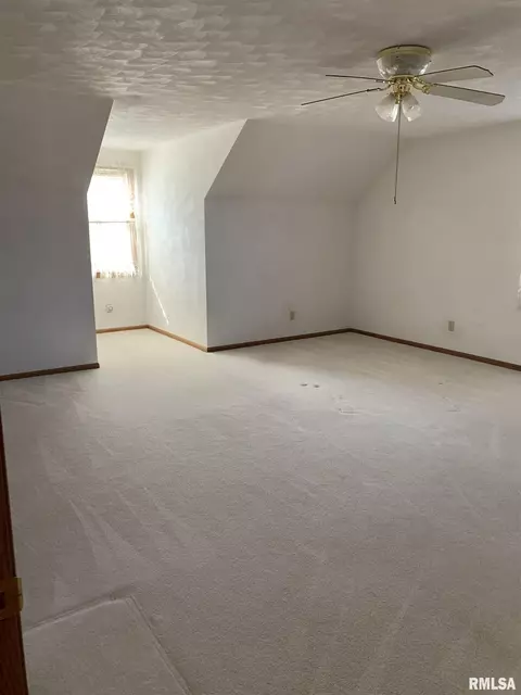 1115 E Sycamore St, Canton, IL 61520 photo 22