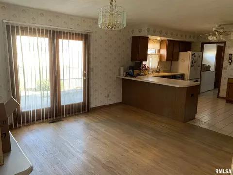 1115 E Sycamore St, Canton, IL 61520 photo 10
