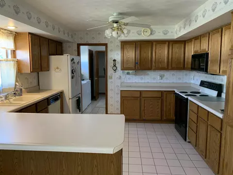 1115 E Sycamore St, Canton, IL 61520 photo 6