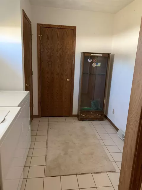 1115 E Sycamore St, Canton, IL 61520 photo 19