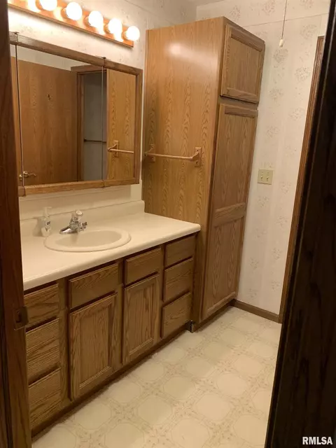 1115 E Sycamore St, Canton, IL 61520 photo 16