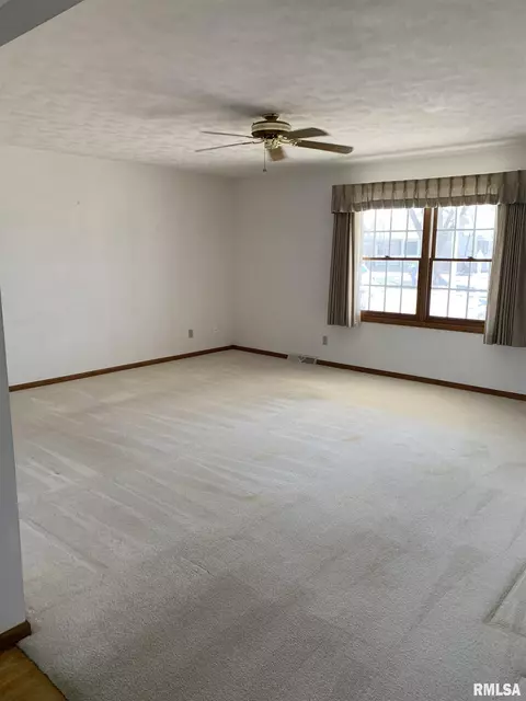 1115 E Sycamore St, Canton, IL 61520 photo 13