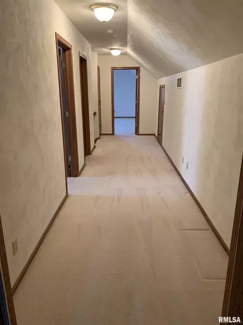 1115 E Sycamore St, Canton, IL 61520 photo 30