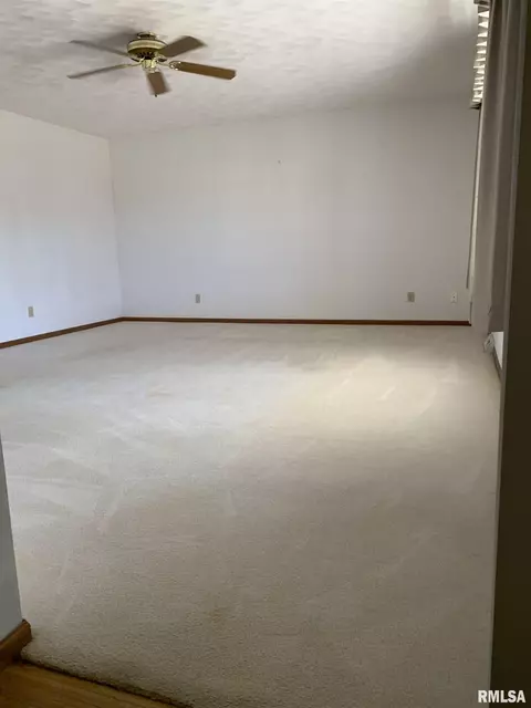 1115 E Sycamore St, Canton, IL 61520 photo 12