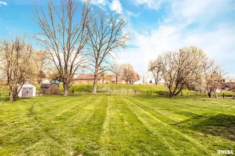 115 N Castle Dr, Dunlap, IL 61525 photo 42