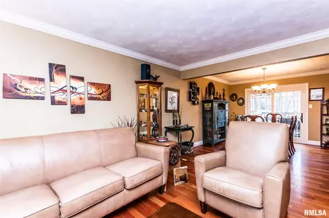 115 N Castle Dr, Dunlap, IL 61525 photo 5