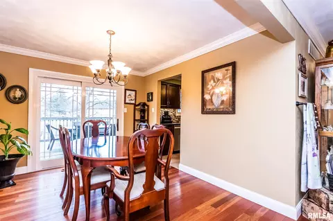 115 N Castle Dr, Dunlap, IL 61525 photo 8