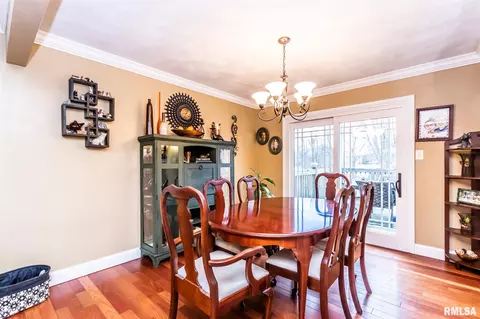 115 N Castle Dr, Dunlap, IL 61525 photo 9