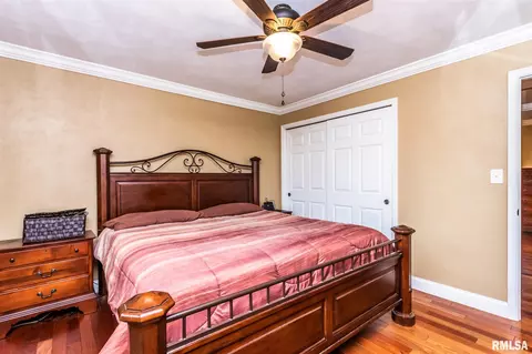 115 N Castle Dr, Dunlap, IL 61525 photo 31