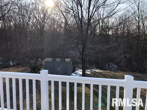 1161 Stacy Ln, Macomb, IL 61455 photo 26