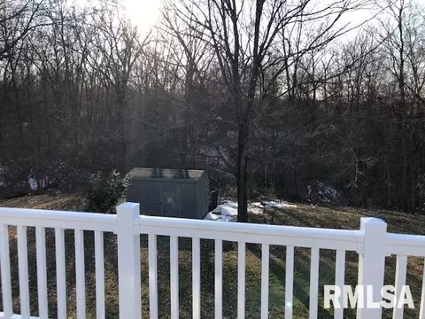 1161 Stacy Ln, Macomb, IL 61455 photo 25
