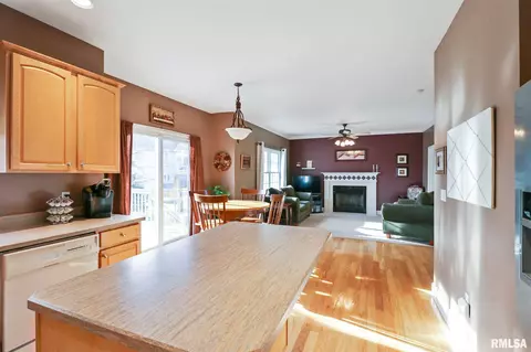 11229 N Jason Dr, Dunlap, IL 61525 photo 11