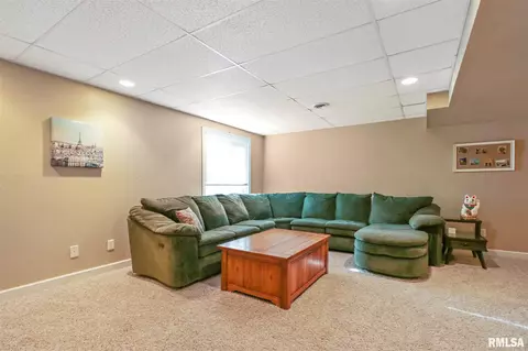 11229 N Jason Dr, Dunlap, IL 61525 photo 29