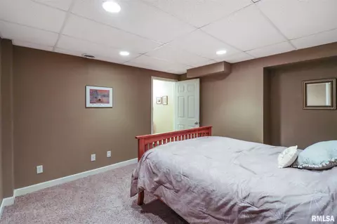 11229 N Jason Dr, Dunlap, IL 61525 photo 31