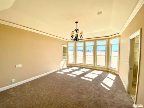 2408 W Augusta Dr, Dunlap, IL 61525 photo 31
