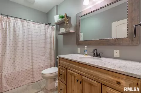 2829 W School St, Dunlap, IL 61525 photo 31
